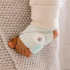 Owlet Set of Dream Sock + Camera 2 / Mint