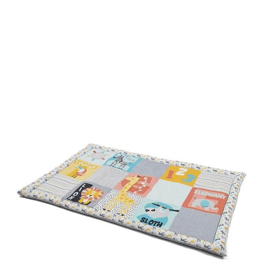 Play Mats & Play Gyms