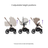Silvercross Breez Chassis/Seat Unit Champagne